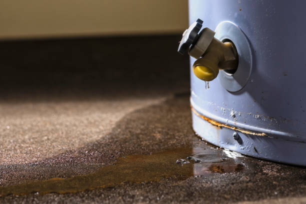 Best Water damage restoration near me  in Menlo Park Terrace, NJ