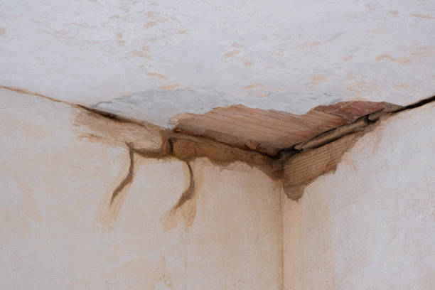 Best Water damage restoration near me  in Menlo Park Terrace, NJ