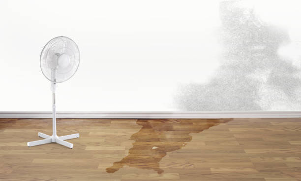 Best 24-hour water damage restoration  in Menlo Park Terrace, NJ